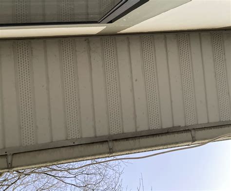 surface mount box under eave